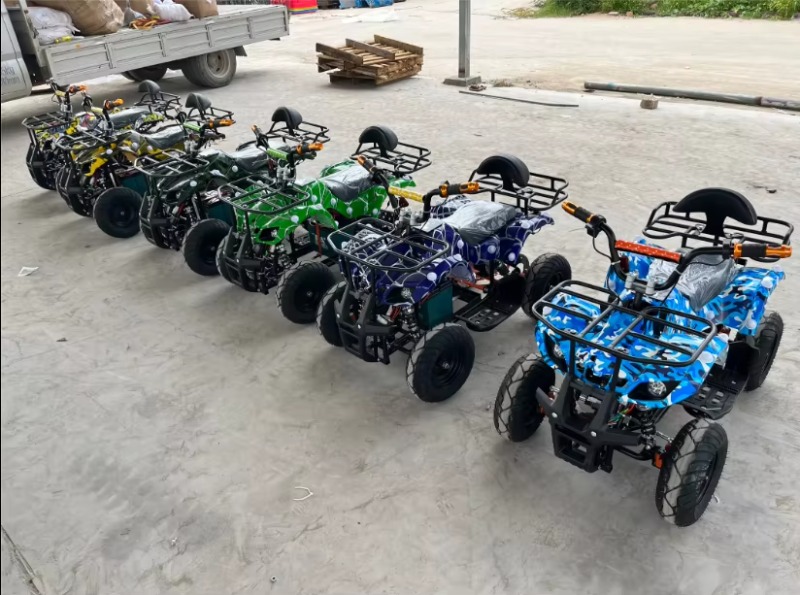 Electric Atv 4 Wheel 1000W - Mini Quad 4x4, Buggy da Spiaggia