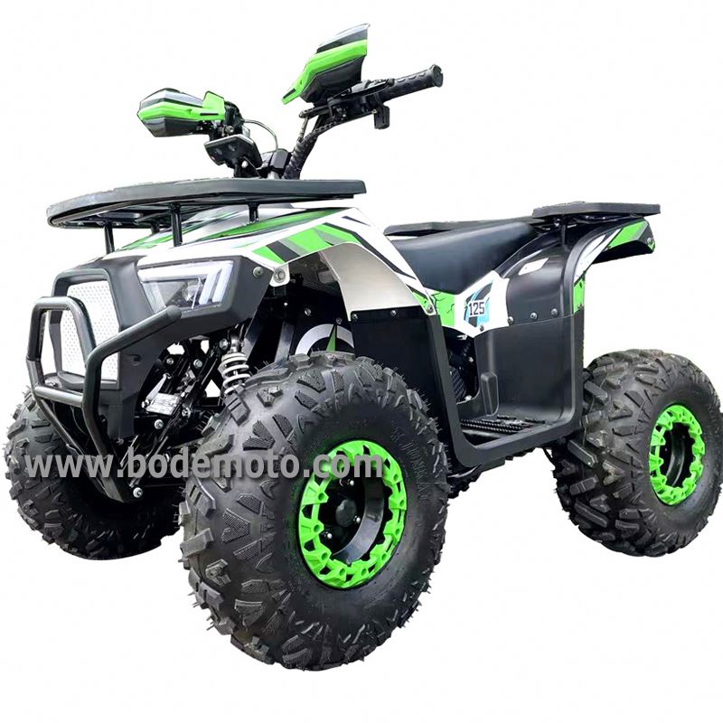 Electric Quad Bike 2000W - Atv elettrici Atv Elettrico fuoristrada 2000W