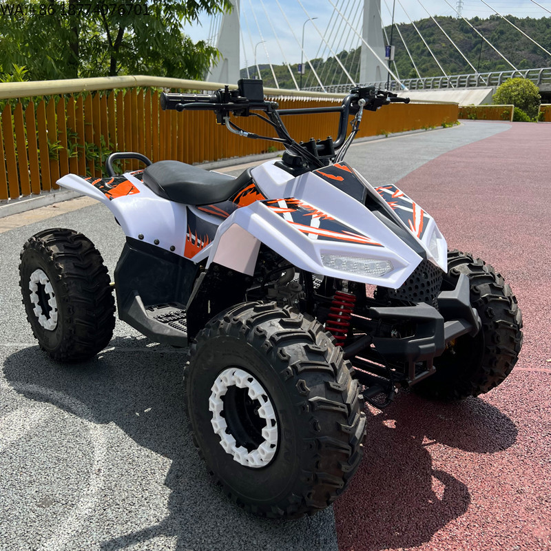 Electric Utv 4 Seater - Nuovo ATV Elettrico 4WD con Batteria