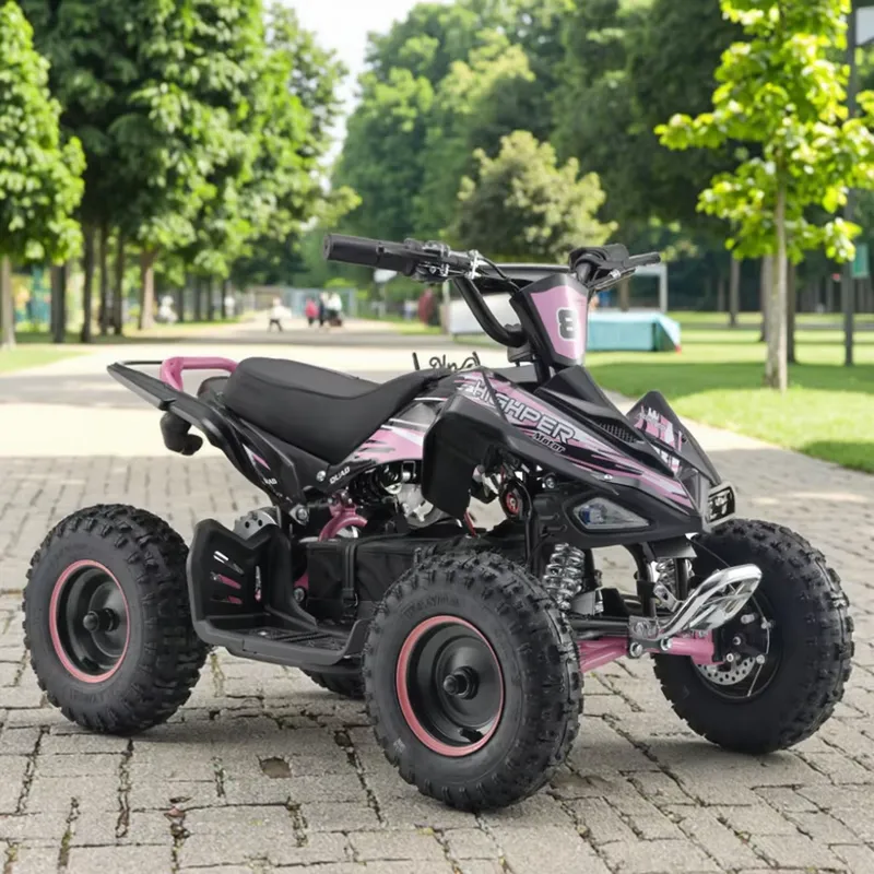 Quad Elettrico ATV 4 Ruote 100 - Electric Atv 4 Wheel 1000W recensione e prezzo